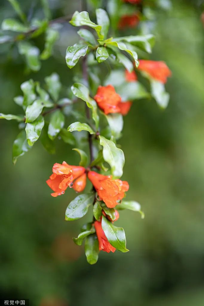 首页| 耀彩网官方网站入口